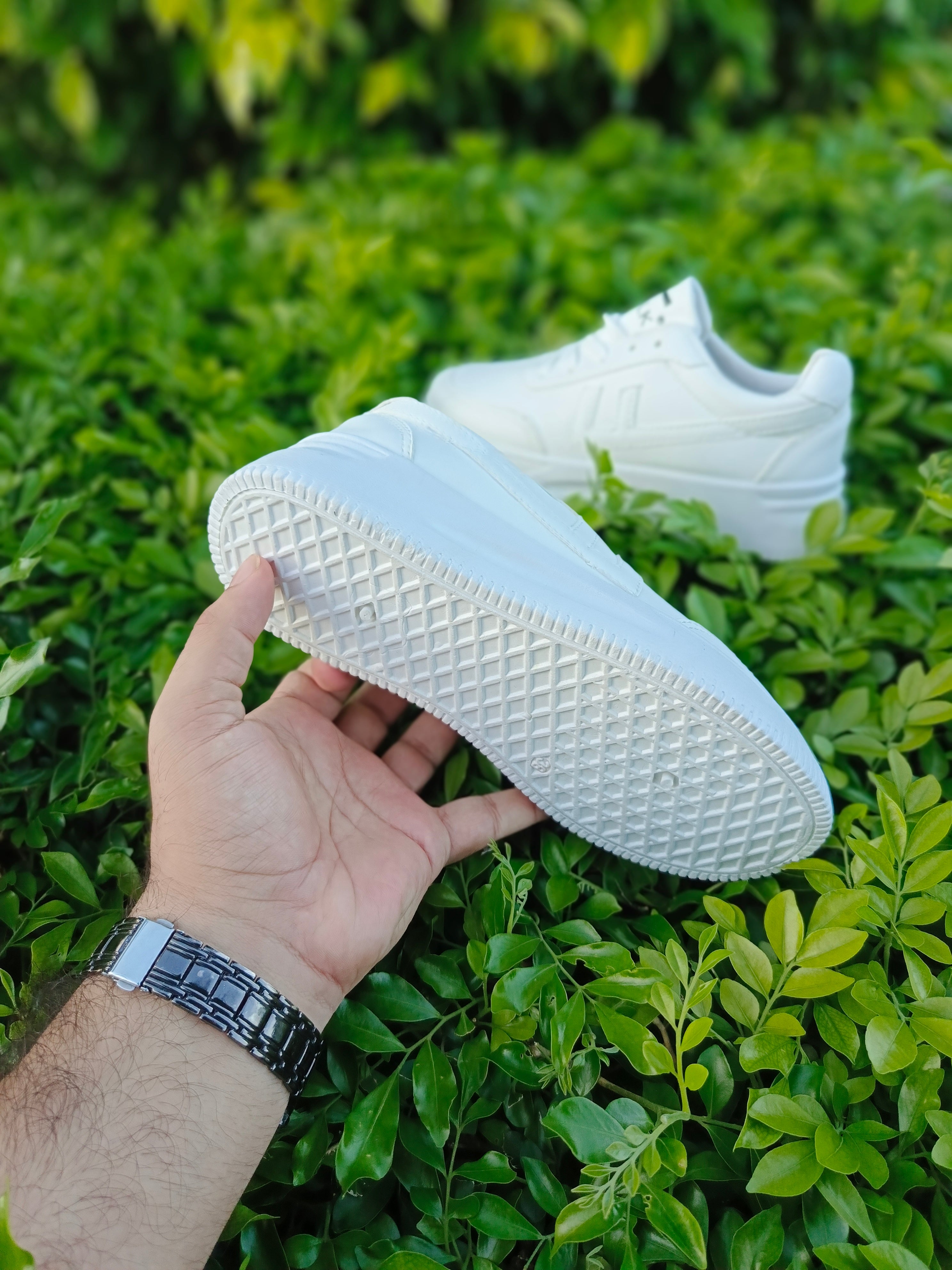 ✨ Fresh Drop – Daily wear Classic Sneakers  ✨