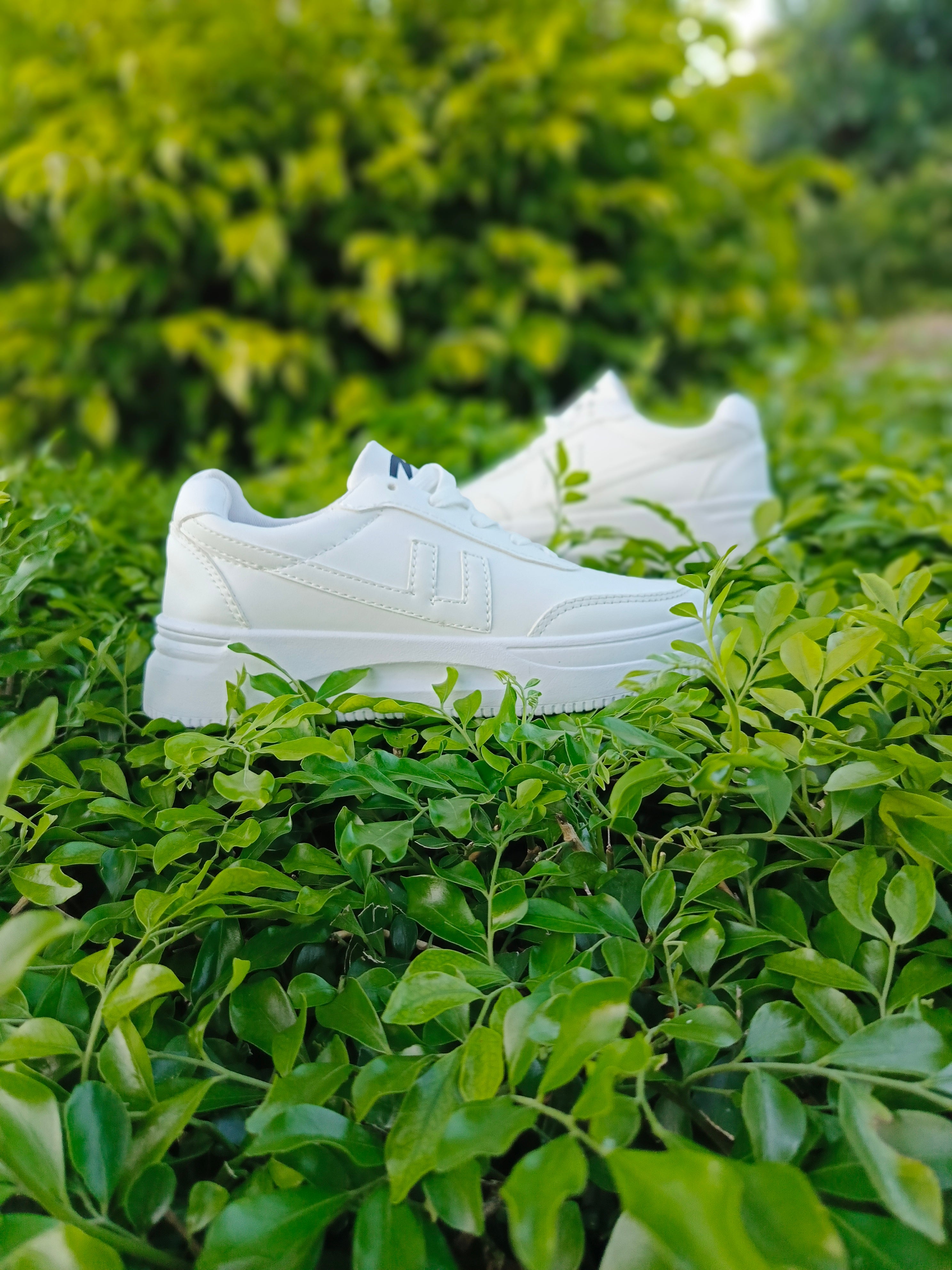 ✨ Fresh Drop – Daily wear Classic Sneakers  ✨